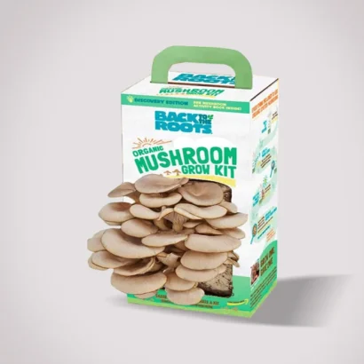 Creative Custom Mushroom Kit Boxes for Effective Packaging Solutions