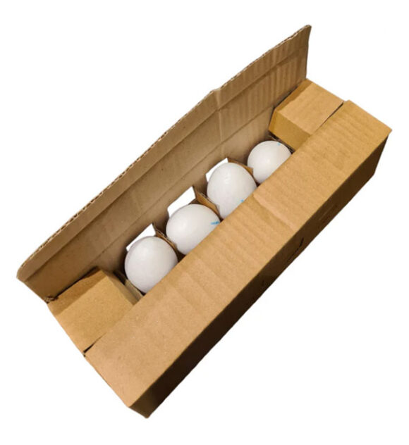 Creative Uses for 12-Piece Egg Boxes: Versatile Storage Solutions