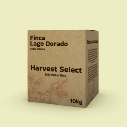 Discover the Benefits of Specialty Green Coffee Boxes by MTPak Coffee