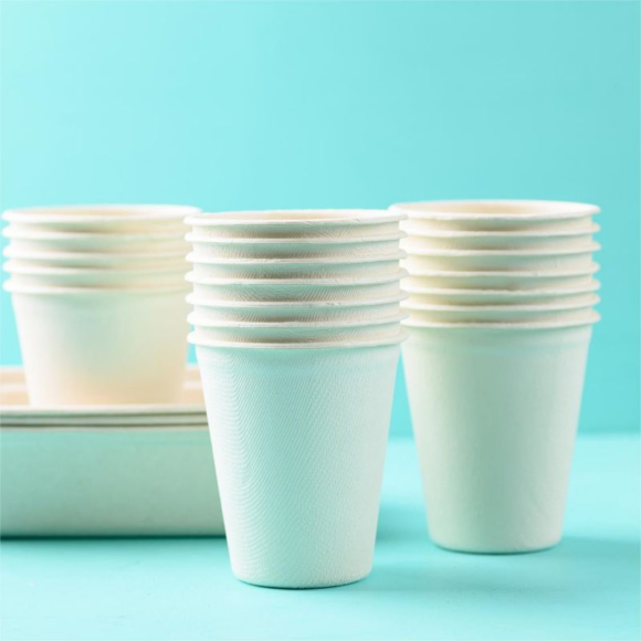 Eco-Friendly Custom Single Wall Paper Coffee Cups for Your Brand