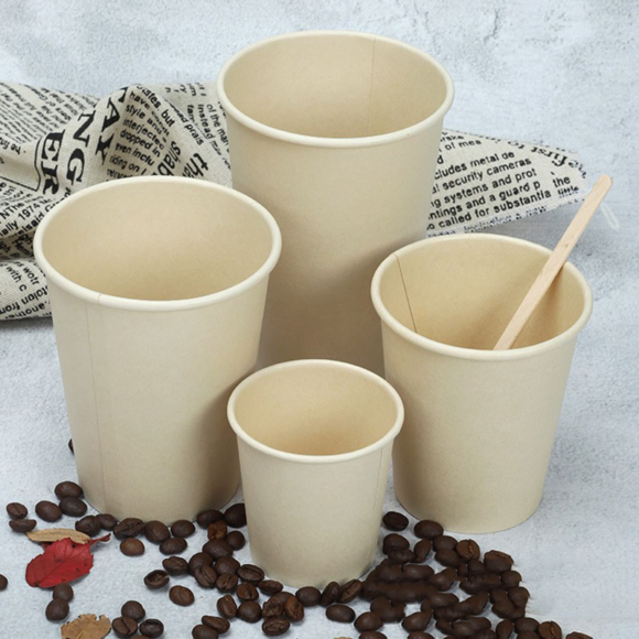 Eco-Friendly PLA Cups: Sustainable Solutions for Your Beverage Needs