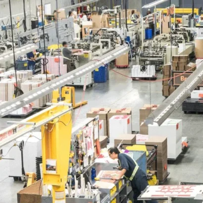 Essential Insights on Carton Boxes for Businesses