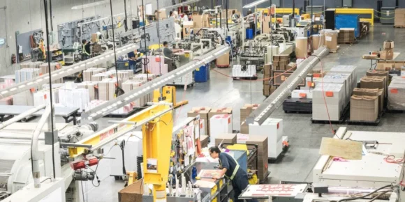 Essential Insights on Carton Boxes for Businesses