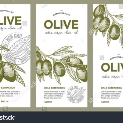 Exploring Olive Oil Label Designs: A Vector Resource Guide