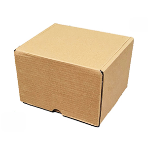 Exploring the Versatility of 0.5 KG Cardboard Boxes
