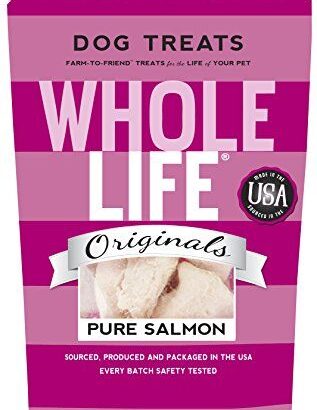 Healthy and Tasty: Whole Life Pet Freeze Dried Salmon Treats for Dogs