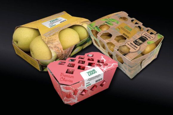 Premium Fruit and Vegetable Boxes: Canpak Ambalaj's Quality Solutions