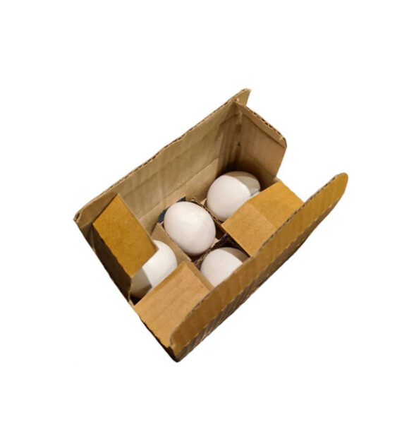 Stylish and Functional: The Perfect 6-Piece Egg Box