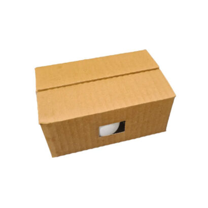 Stylish and Functional: The Perfect 6-Piece Egg Box