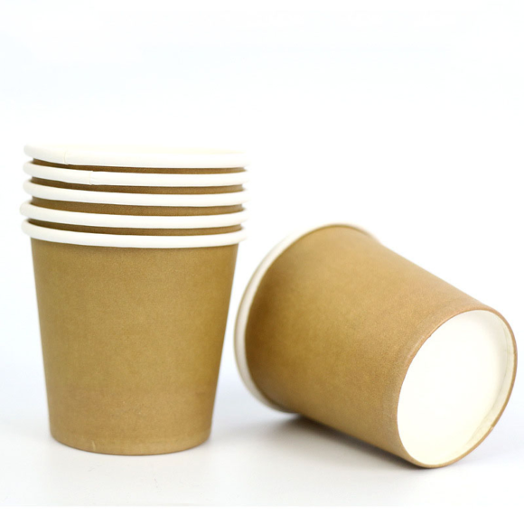 Versatile Double Wall Disposable Cups for Hot and Cold Beverages