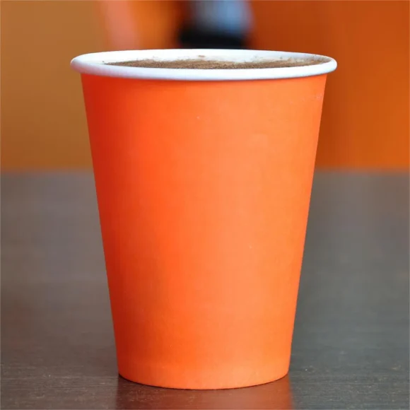 Versatile Hot Drinking Kraft Paper Cups: Custom Options & Benefits