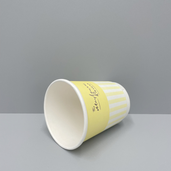 Wholesale Customized Insulated Double Wall Coffee Cups for Hot Drinks